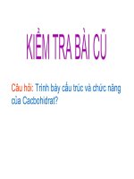 giáo án tham khảo bồi dưỡng thao giảng, thi giáo viên giỏi sinh học lớp 9 bài protein (1)