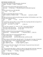 ĐỀ THI HỌC KI II HÓA 12 CB