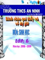 bài 26: sinh sản sinh dưỡng tự nhiên