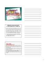 slike kinh doanh ngoại hối  thầy thịnh chương 6 giao dịch quyền chọn tiền tệ