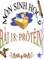 giáo án tham khảo bồi dưỡng thao giảng, thi giáo viên giỏi sinh học lớp 9 bài protein (2)