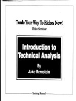 jake bernstein - trade your way to riches