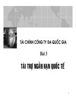 Tài trợ ngắn hạn quốc tế