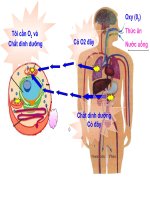 Bai 18. Tuan Hoan Mau