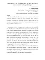 Báo cáo khoa học: Nâng cao sức chịu tải của nền đất yếu dưới móng nông bằng giải pháp lưới địa kỹ thuật