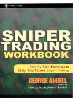 george angell - sniper trading workbook
