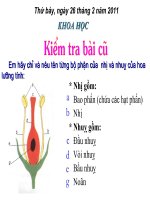 Su sinh san cua thuc vat co hoa