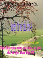 LT&C lop 4- Câu hỏi