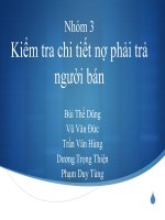 Kiểm tra chi tiết nợ phải trả người bán
