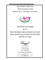 phân tích hoạt động tín dụng tại saigonbank chi nhánh cần thơ