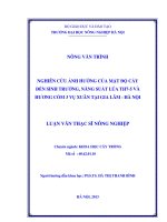 Nghiên cứu ảnh hưởng của mật độ cấy đến sinh trưởng, năng suất lúa TH7- 5 và hương cốm 3 vụ xuân tại gia lâm Hà Nội