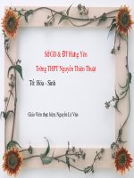 bien phap cai tao dat xam bac mau..