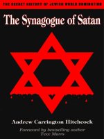 the synagogue of satan; chronological expose of zionist rise to world power (2007) hitchcock