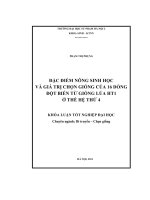Đặc điểm nông sinh học và giá trị chọn giống của 16 dòng đột biến từ giống lúa HT1 ở thế hệ thứ 4