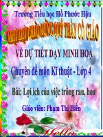 Kĩ thuật: Lợi ích của việc trồng rau, hoa