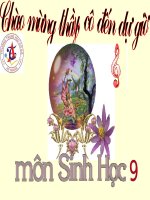 giáo án bồi dưỡng tham khảo thao giảng thi giáo viên giỏi sinh học lớp 9 bài mối quan hệ giữa gen và tính trạng (2)