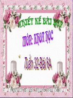 giáo án khoa hoc lớp 4