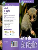 animals at night 4