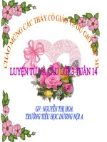 Tuần 14: Ôn Từ chỉ đặc điểm - Ôn tập kiểu  câu Ai thế nào?