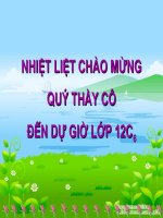 bài 24: các bằng chứng tiến hóa