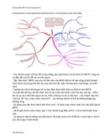 Sử dụng bản đồ tư duy