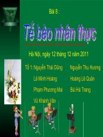 Bài 8: Tế bào nhân thực