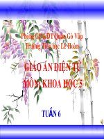 Khoa học - Dùng thuốc an toàn