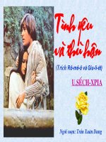 Tình yêu và thù hận( Trích 