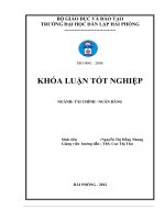 giải pháp nâng cao chất lượng tín dụng trung và dài hạn tại chi nhánh techcombank hải phòng