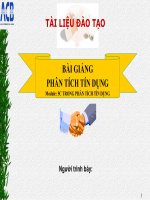 Bài giảng phân tích tín dụng
