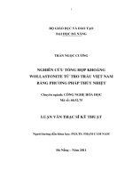 Nghiên cứu tổng hợp khoáng wollastonite từ tro trấu Việt Nam bằng phương pháp thủy nhiệt (Full toàn văn)