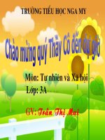 TNXH: Bai 15: Ve sinh than kinh (lop 3)