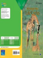 all animals have life cycles