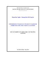 CHẾ ĐỘ PHÁP LÝ VỀ QUẢN LÝ VỐN ĐẦU TƯ TẠI DOANH NGHIỆP NHÀ NƯỚCTHỰC TRẠNG VÀ GIẢI PHÁP