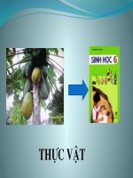 TIẾT 1: BÀI MỞ ĐẦU