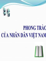 bai 21 - phong trao yeu nuoc chong phap (tiet 2)