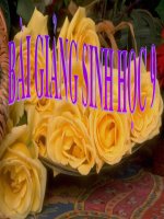 giáo án bồi dưỡng tham khảo thao giảng thi giáo viên giỏi sinh học lớp 9 bài mối quan hệ giữa gen và tính trạng (10)