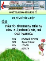 bài số 2 phân tích tình hình tài chính tại công ty cổ phần điện máy, hoá chất thanh hóa