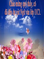 BÀI THƠ SỐ 28.TAGO( được)