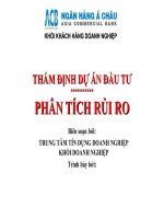 Tài liệu thẩm định dự án đầu tư phần phân tích rủi ro