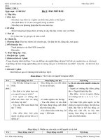 Giáo án sinh 8 CKTKN có giảm tải hết học kì I