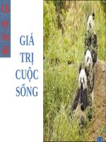 Giá trị cuộc sống