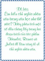 PHÂN TÍCH MỘT SỐ DẪN CHỨNG TRONG TÁC PHẨM ROMEO & JULLIET