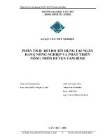 phân tích rủi ro tín dụng tại ngân hàng nông nghiệp và phát triển nông thôn huyện tam bình