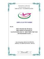 phân tích rủi ro tín dụng theo nhóm ngành kinh tế tại bidv kiên giang