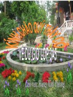 TẬP ĐỌC LỚP 3 MỘT MÁI NHÀ CHUNG