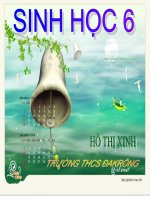 bai 13. cấu tạo ngoài của thân