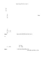 Bộ câu hỏi ôn tập vật lý 10 cực hay.