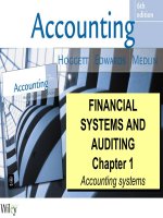 Accounting   financial systems and auditing   Slide bài giảng Kế toán  Hệ thống tài chính và kiểm toán