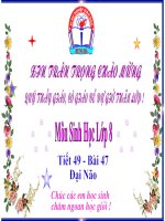 Bai 47. Dai Nao.ppt